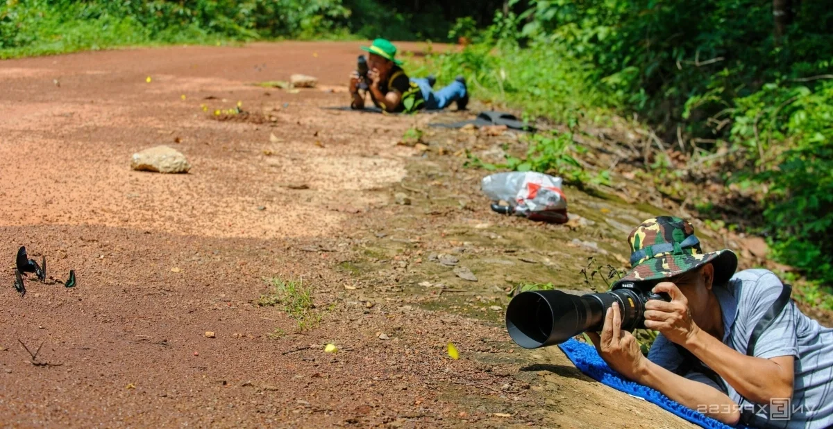 Nature's Beauty: Butterfly Hunting in Ma Da Forest, Vietnam
