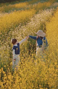 Moc Chau Yellow Mustard Season: A Muse in the Early Winter Highlands - image 8