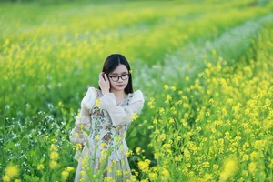 Moc Chau Yellow Mustard Season: A Muse in the Early Winter Highlands - image 3