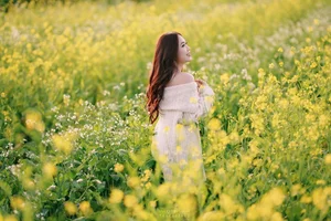 Moc Chau Yellow Mustard Season: A Muse in the Early Winter Highlands - image 2