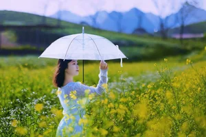 Moc Chau Yellow Mustard Season: A Muse in the Early Winter Highlands - image 7
