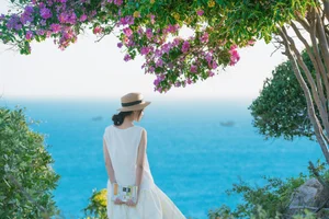 Experience the Stunning Purple Bloom of Giant Crape Myrtles at Mui Dinh This Summer - image 4
