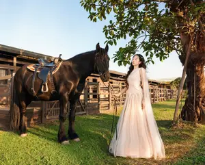 Elegant Beauty: Graceful Girl with a Majestic Black Horse - image 2