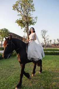 Elegant Beauty: Graceful Girl with a Majestic Black Horse - image 8