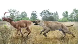 Unbelievable! Synthetoceras: The Hoofed Animal with the Strangest Horns Ever Existed - image 1