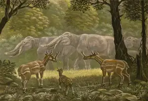 Unbelievable! Synthetoceras: The Hoofed Animal with the Strangest Horns Ever Existed - image 0