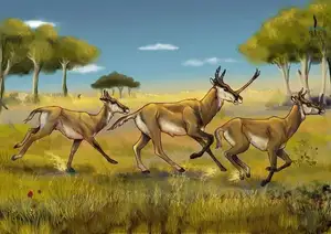 Unbelievable! Synthetoceras: The Hoofed Animal with the Strangest Horns Ever Existed - image 4