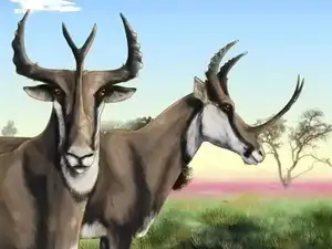 Unbelievable! Synthetoceras: The Hoofed Animal with the Strangest Horns Ever Existed - image 7