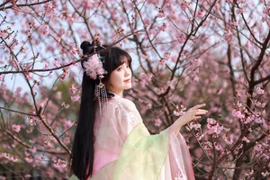 YITUYU Art Language: Spring Cherry and Strawberry Sago Aesthetic Gallery - image 10