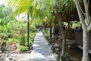 The Remarkable House Built from 4,000 Coconut Trees in Vinh Long - image 2