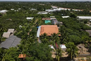 The Remarkable House Built from 4,000 Coconut Trees in Vinh Long - image 8