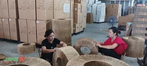 The Art of Fern Weaving in Phu Tuc: Discovering Vietnam's Traditional Eco-Friendly Craft Village - image 2