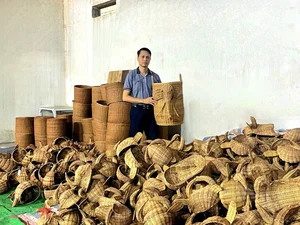 The Art of Fern Weaving in Phu Tuc: Discovering Vietnam's Traditional Eco-Friendly Craft Village - image 8