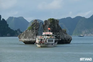 Why Indian Billionaires are Flocking to Vietnam for Luxury Travel - image 7