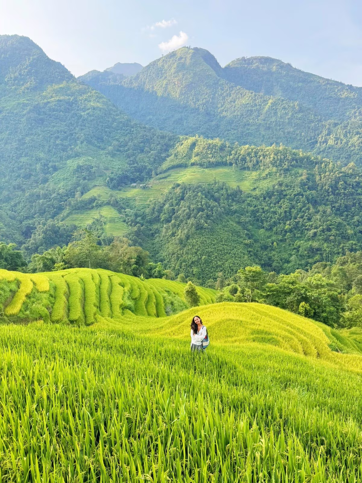 Experience the Peace of Seo Chong Ho: Northwest's Ripe Rice Season Calls Your Soul