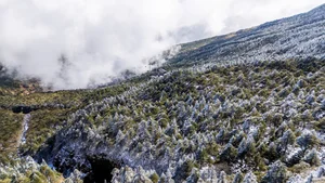 Winter in China: Vietnamese Tourists Explore Snowy Peaks - image 10