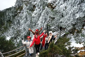 Winter in China: Vietnamese Tourists Explore Snowy Peaks - image 1