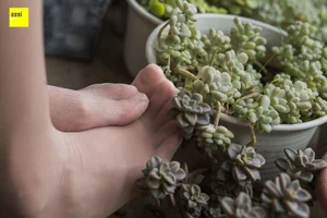 Elegant Chinese Model Wan Ping in IESS Succulent Garden Collection - image 137