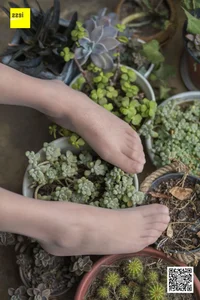 Elegant Chinese Model Wan Ping in IESS Succulent Garden Collection - image 97