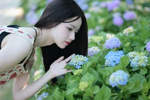 The Creative Vision of YiTuYu Art Language Vol.7293 Shi Yuan - image 13