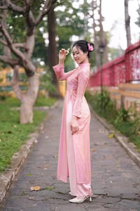 VGU No.153: Enchanting Traditional Vietnamese Ao Dai Beauty and Grace - image 3