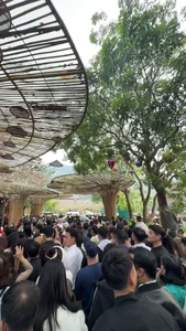 Experience the Vibrant Energy and Massive Crowds at Huong Pagoda and Yen Tu Mountain During Vietnam's Lunar New Year Tet Festival Celebrations - image 2
