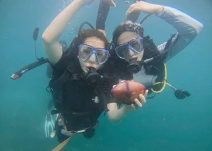 Chi Pu Hosts Chinese Celebrities for an Unforgettable Tour of Vietnam - image 3