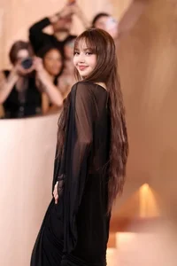 Lisa Shines in a Breathtaking Sheer Gown at the Golden Globes Red Carpet - image 0