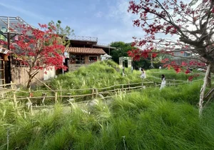 Discover the Enchanting Garden of Eden Cafe: A Must-Visit Oasis in Ho Chi Minh City - image 12