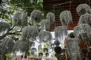 Discover the Enchanting Garden of Eden Cafe: A Must-Visit Oasis in Ho Chi Minh City - image 5
