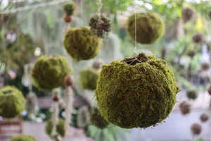 Discover the Enchanting Garden of Eden Cafe: A Must-Visit Oasis in Ho Chi Minh City - image 3