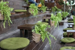 Discover the Enchanting Garden of Eden Cafe: A Must-Visit Oasis in Ho Chi Minh City - image 0