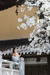 YiTuYu Art Language Vol.7094: A Visual Journey with Yin Nan Yun - image 19