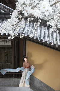 YiTuYu Art Language Vol.7094: A Visual Journey with Yin Nan Yun - image 6