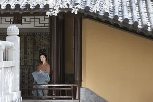 YiTuYu Art Language Vol.7094: A Visual Journey with Yin Nan Yun - image 23
