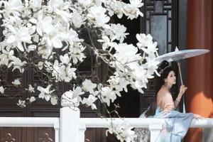 YiTuYu Art Language Vol.7094: A Visual Journey with Yin Nan Yun - image 5
