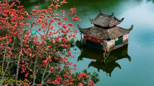 Picturesque Hanoi Countryside During the Red Silk Cotton Flower Season - image 6