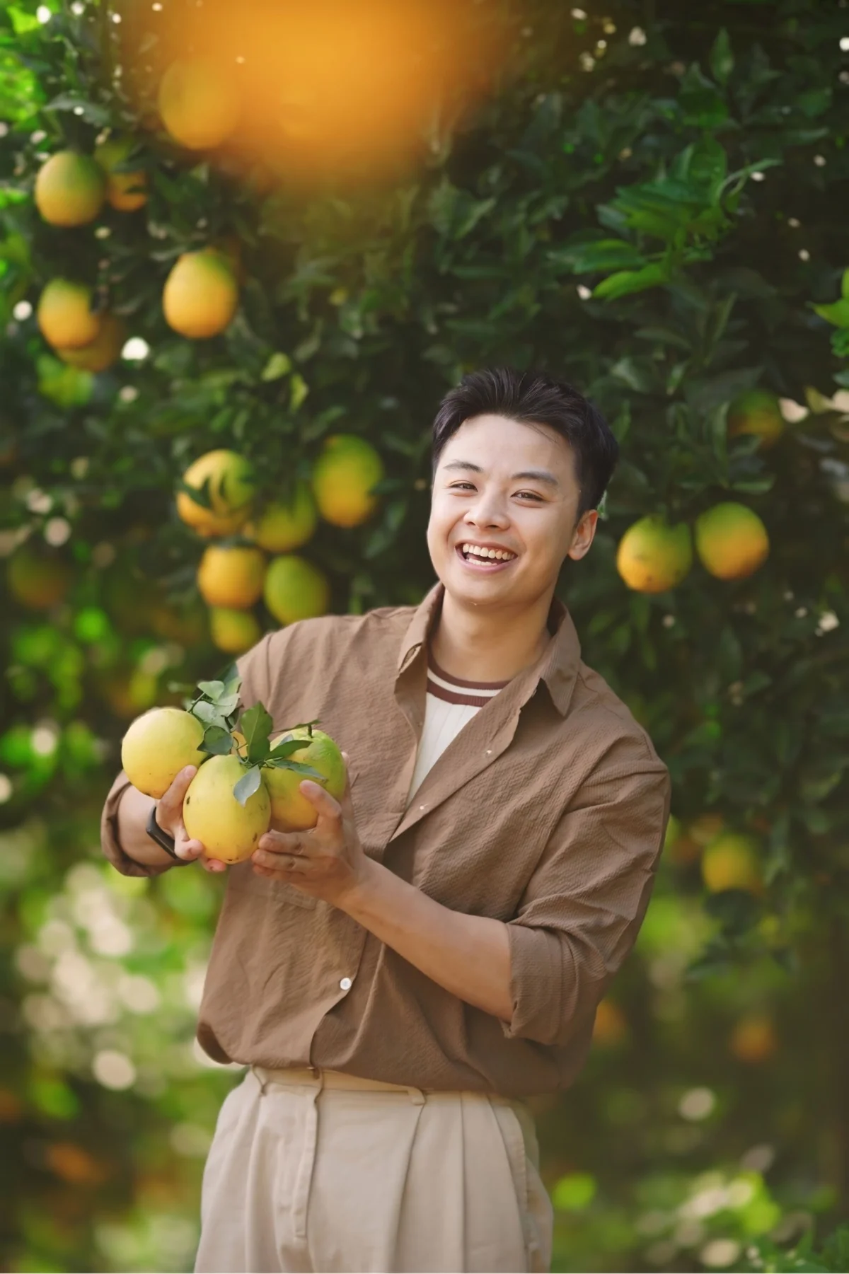 Exploring the Vibrant Golden Orange Orchards of Moc Chau: A Must-Visit Destination for Nature Lovers and Travelers