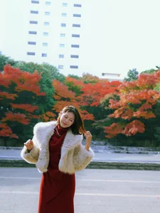Elegant Japan Travel Style: Việt Phương Thoa in Stunning Traditional Kimono - image 7