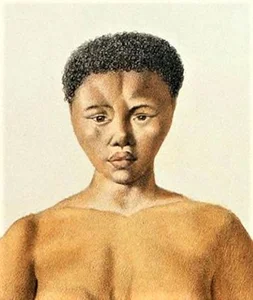 The Tragic Legacy of Sarah Baartman: The African Woman Exploited as the Hottentot Venus - image 7