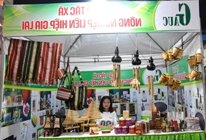 Discovering Dien Hong Food Street: The Heart of Gia Lai’s Vibrant Nightlife and Culinary Scene - image 3