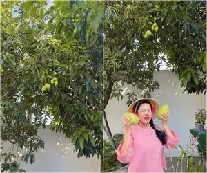 Inside the Lush 3,000sqm Estate and Mango Garden of the Iconic Tay Do Beauty - image 3