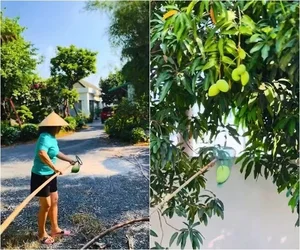 Inside the Lush 3,000sqm Estate and Mango Garden of the Iconic Tay Do Beauty - image 0