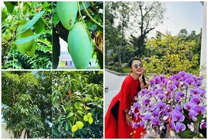 Inside the Lush 3,000sqm Estate and Mango Garden of the Iconic Tay Do Beauty - image 7