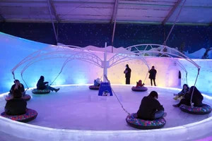 Ice Magic - Fantasy On Ice: Experience a Magical Winter Wonderland in the City - image 5