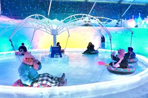 Ice Magic - Fantasy On Ice: Experience a Magical Winter Wonderland in the City - image 6