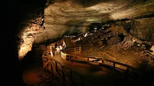 Exploring Mammoth Cave: A Deep Dive into the World's Longest Cave System - image 7