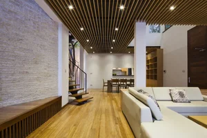 Sustainable Urban Living: The Stunning Green-Covered House in Hanoi Capturing International Architectural Attention - image 5
