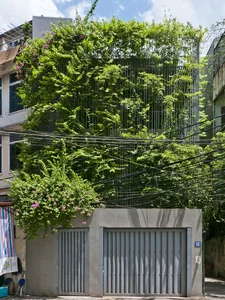 Sustainable Urban Living: The Stunning Green-Covered House in Hanoi Capturing International Architectural Attention - image 0