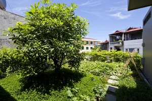 Sustainable Urban Living: The Stunning Green-Covered House in Hanoi Capturing International Architectural Attention - image 3